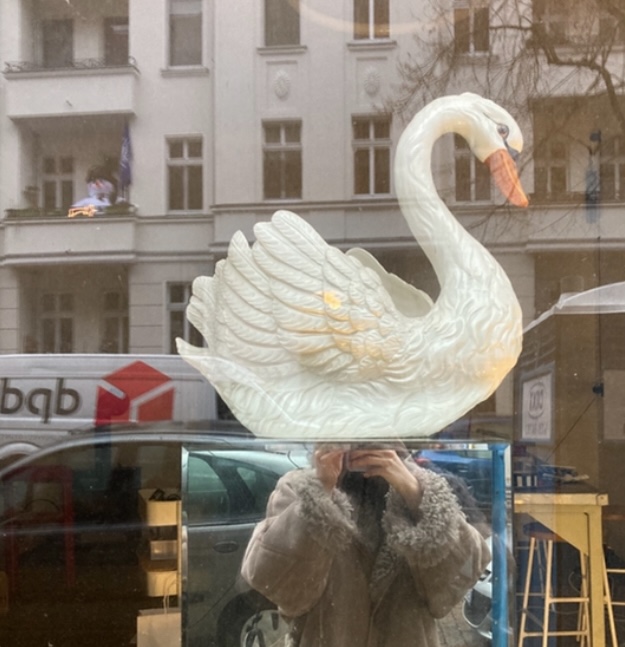 Person mit Schwanenkopf